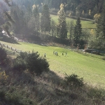 2013-10-26-1420